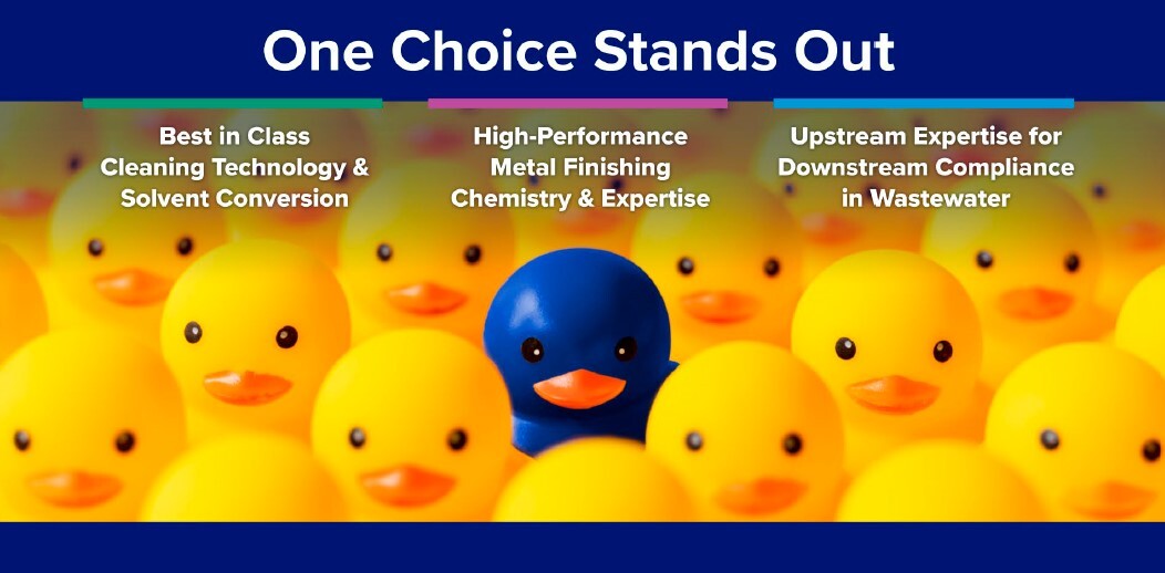 One Choice Stands Out; Blue Duck